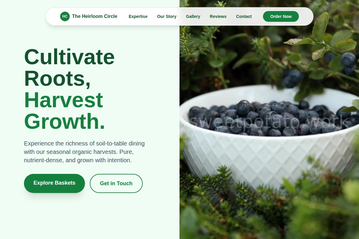 Field Organic Food