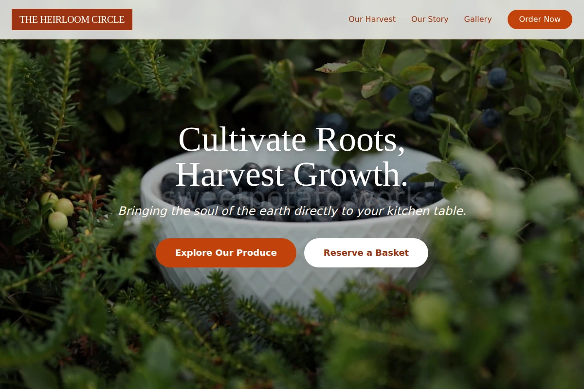 Organic Organic Food